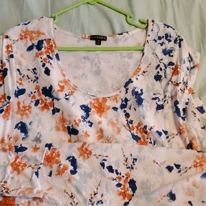 Hannah tunic top size 1X